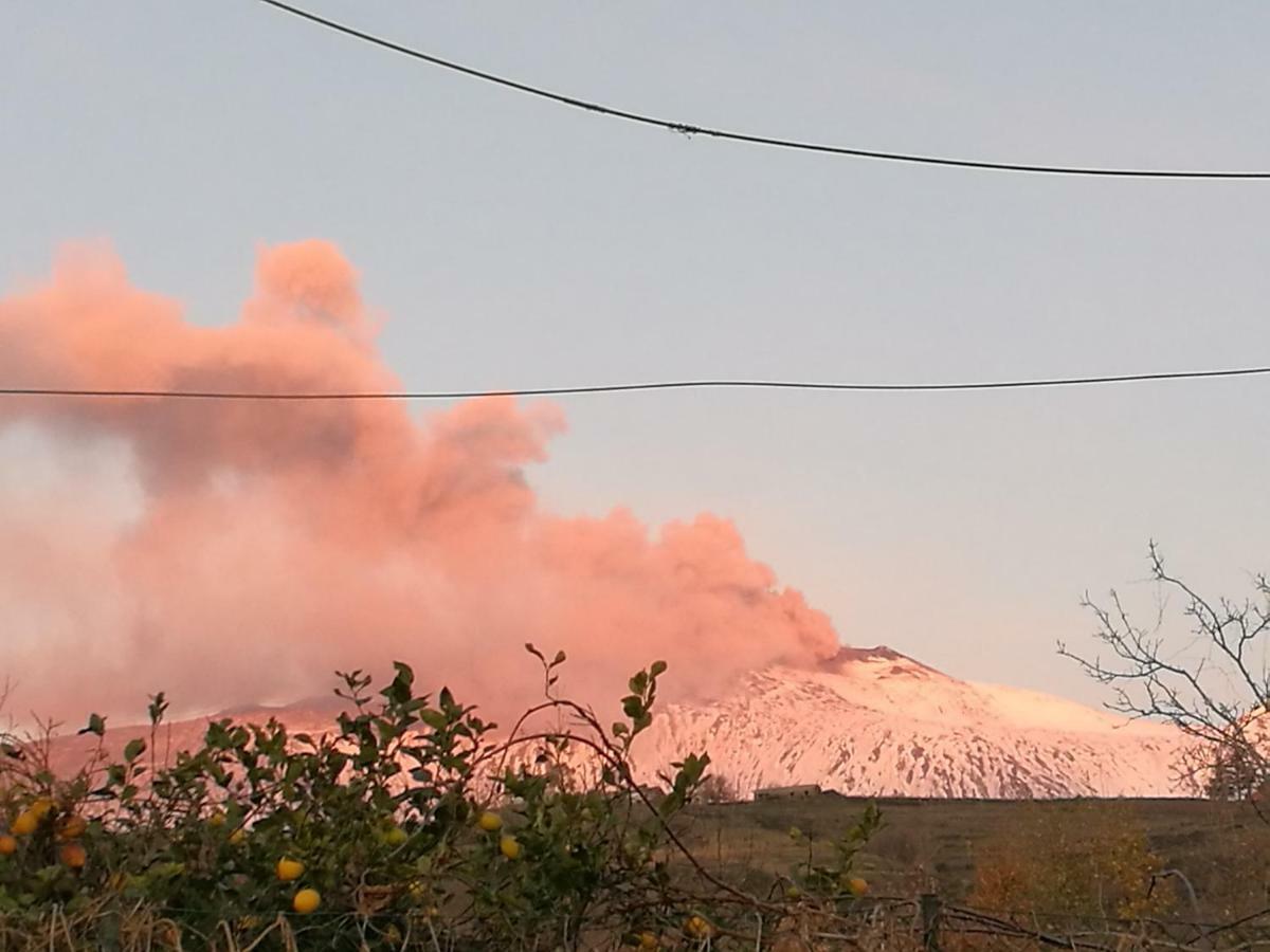 Le Case Di Bacco Villa Santa Venerina Esterno foto